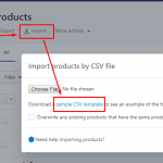 file - esempio - csv - shopify - utilizzato - ecommerce