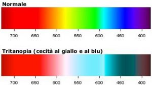 Daltonismo-3-Tritanopia-siti-web-accessibili-il-contrasto