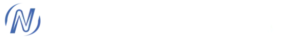 logo nocerino carmine web designer napoli e consulente seo napoli campania